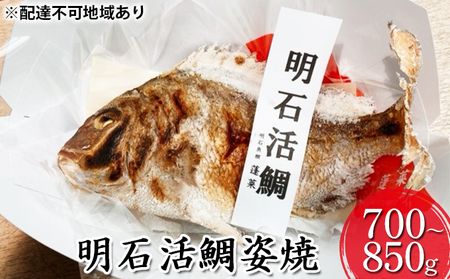 明石鯛 魚貝類 明石活鯛姿焼 焼鯛 祝い鯛 明石鯛【700〜850g】
