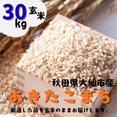 ふるさと納税 大仙市 【令和7年産】 あきたこまち 玄米30kg (30kg×1袋) 秋田県大仙市産