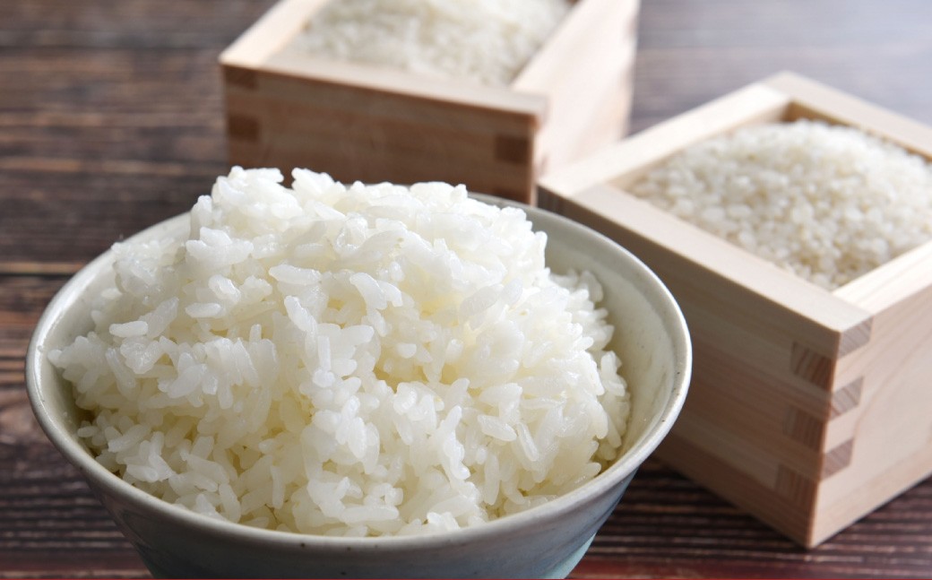 
            【令和7年産】 ゆめぴりか ななつぼし 食べ比べセット （無洗米） 各10kg 20kg 北海道 鷹栖町 たかすのおむすび 米 コメ ご飯 無洗米 お米
          