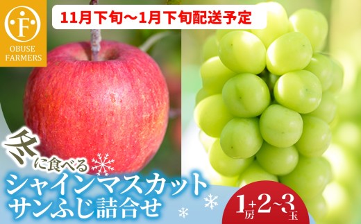 冬に食べるシャインマスカットとサンふじ詰合せ 1房（約500g） 2〜3玉［おぶせファーマーズ］ ぶどう りんご 林檎 リンゴ 果物 フルーツ  長野 信州 数量限定 令和7年産【2025年11月下旬〜2026年1月下旬発送】