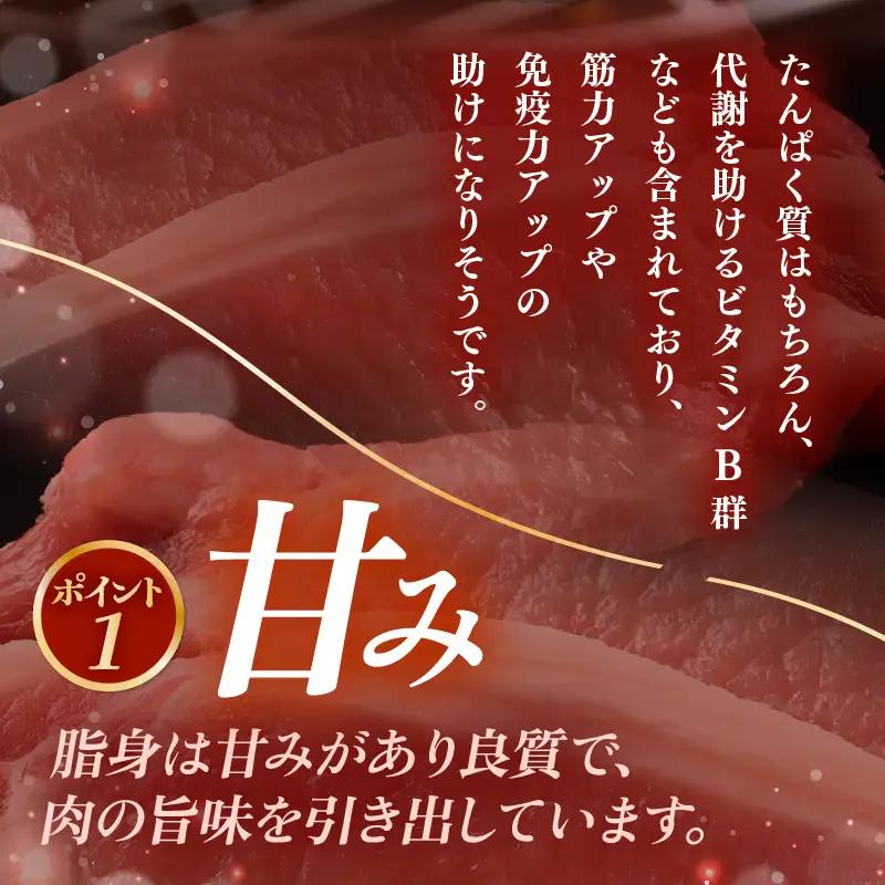 【ブランド豚】ふくいポーク 100g × 4枚 合計400g（2枚入 × 2p）国産豚肉 冷凍 カツ [e02-a040]