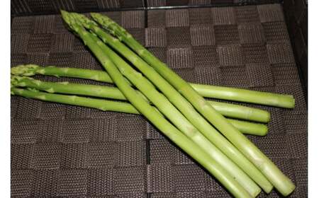 季節のお野菜セット（7~10種） 国産 鳥取県産品 定期便 詰め合わせ 新鮮