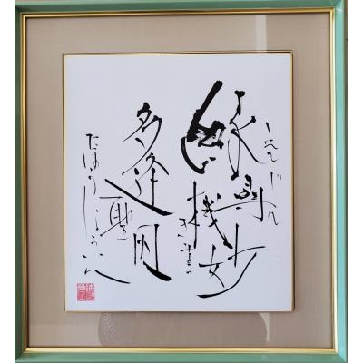 ふるさと納税 八尾市 運開インテリア色紙(大)「細字文様」(U109)