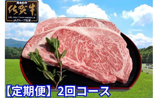 
                  【定期便】【2回】佐賀牛サーロイン ステーキ2枚 (250g×2)
                