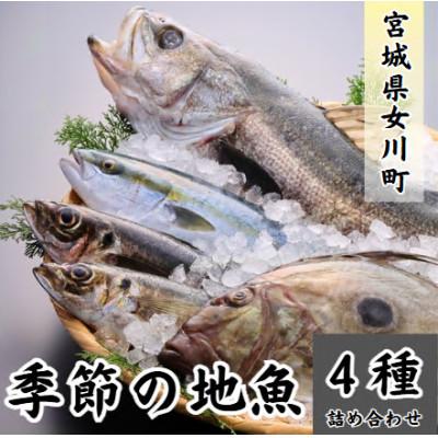 ふるさと納税 女川町 季節の地魚4種詰合せ　刺身用 宮城県産