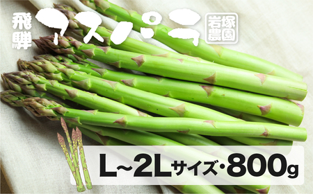 【2026年発送】飛騨産アスパラガス Lサイズ 800g 岩塚農園 [Q566] アスパラガス 