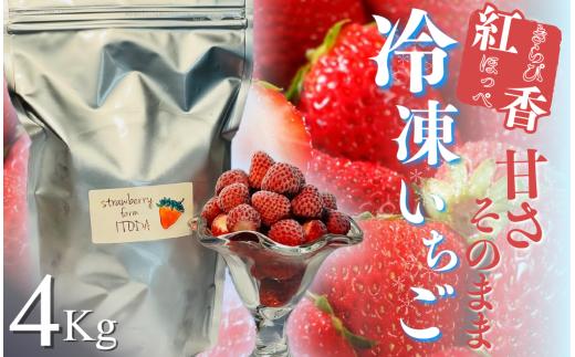 【先行予約＿2026年出荷分】地元JA品評会金賞受賞　冷凍イチゴ4Kg　【 いちご 果物 フルーツ 苺 イチゴ 冷凍 果物 フローズン くだもの 大容量 静岡県産 期間限定 】　<AO-6>