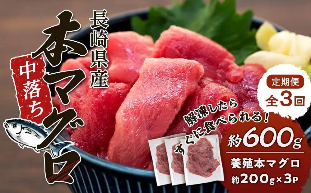 【3回 定期便】長崎県産 本マグロ中落ち 約600g（約200g×3P）