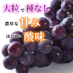 【7月上旬から8月中旬まで発送】ピオーネ 2房 1kg ぶどう 国産