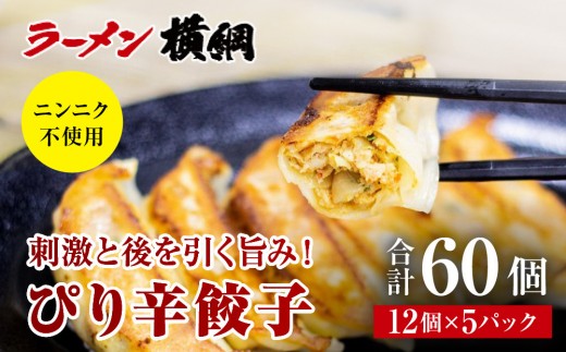 【ラーメン横綱】ニンニク不使用! ぴり辛餃子 5パック60個 京都  有名店 餃子 大人気セット［ 刺激と後を引く旨み 小分け ピリ辛 冷凍食品 大容量 おいしい 簡単 便利 おすすめ 中華 中華料理 お取り寄せ 通販 送料無料 ］