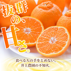 ＜先行予約受付中！2025年3月下旬より順次発送予定＞産地直送！！大分県宇佐市産 不知火(約5kg)みかん ミカン 蜜柑 柑橘 しらぬい フルーツ 果物 くだもの 果実 国産【103600600】【井