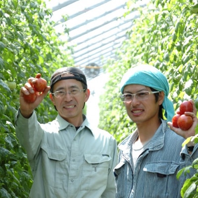 感動のフルーツトマト「深層水トマト」3キロ
