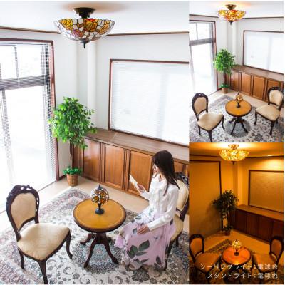 ふるさと納税 海南市 テーブルランプ ヴィトライユ ローズドレ AKU1011014 |  | 03