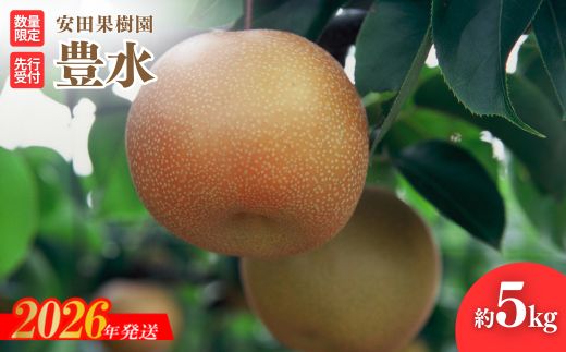 No.1799梨　豊水　約5kg【2026年発送 先行予約】