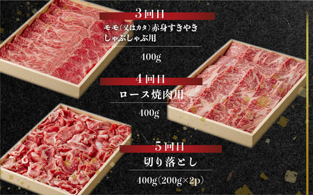 定期便 5回 飛騨牛 食べつくし厳選 牛肉 だるまミート 定期便  [S407]
