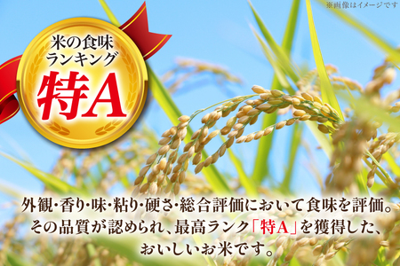 米 令和7年 ななつぼし JA新すながわ産 5kg