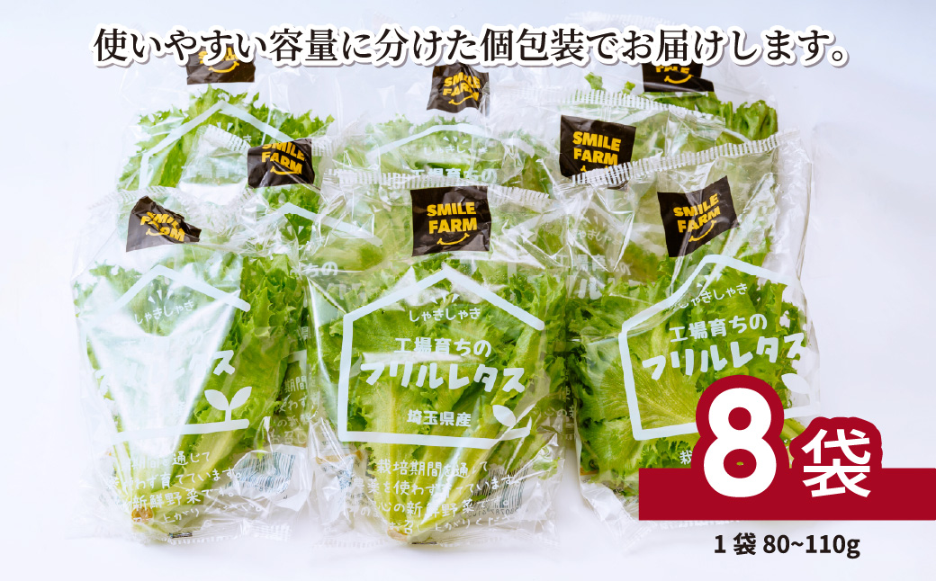 ＜洗わず食べられる・室内水耕栽培＞ フリルレタス 8袋(80～110g/袋) | レタス 洗わずに食べられる 新鮮レタス オーガニック野菜 無農薬 野菜直送 フレッシュ サラダ用野菜 健康志向 こだわ