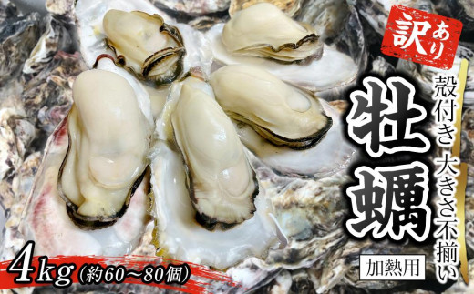 
            訳あり 大きさ不揃い殻付き牡蠣 4kg (加熱用)【牡蠣 かき 一口サイズ 食べやすい 国産 香川県 さぬき市】
          