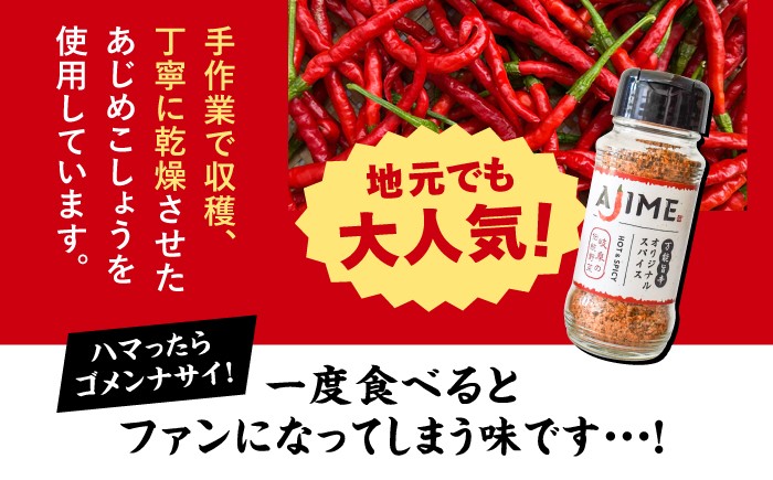 スパイス アウトドア キャンプ 調味料 料理 バーベキュー 詰め合わせ BBQ 贈答 ギフト おすすめ 人気 岐阜県 恵那市