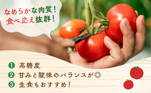ぜいたくトマト 約1.7kg