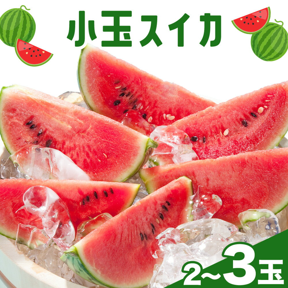 【ふるさと納税】小玉スイカ 約2.5kg〜2.9kg×2玉 3玉【養生市場】 ひとりじめ 果物 フルーツ スイカ 西瓜 九州産 熊本県産 送料無料《2026年4月中旬-5月中旬頃出荷予定》【先行予約】