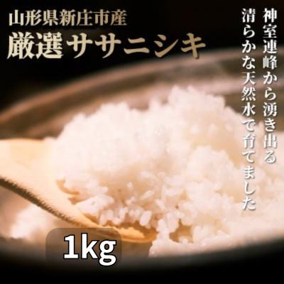 ふるさと納税 新庄市 厳選ササニシキ(精米) 1kg