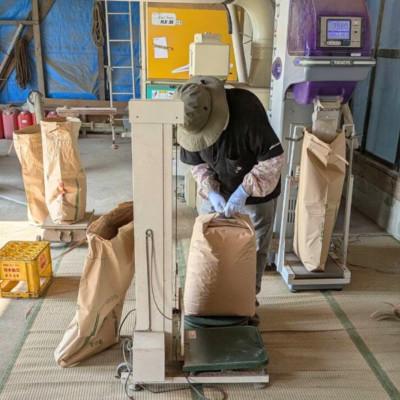 ふるさと納税 加須市 【先行受付】令和8年産　水野農園のコシヒカリ　精米5kg(5kg×1袋) |  | 03