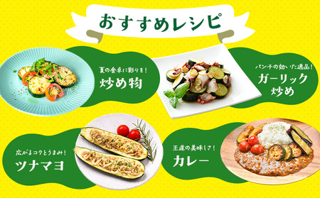 さの農園の ズッキーニ 約2kg 約10本前後