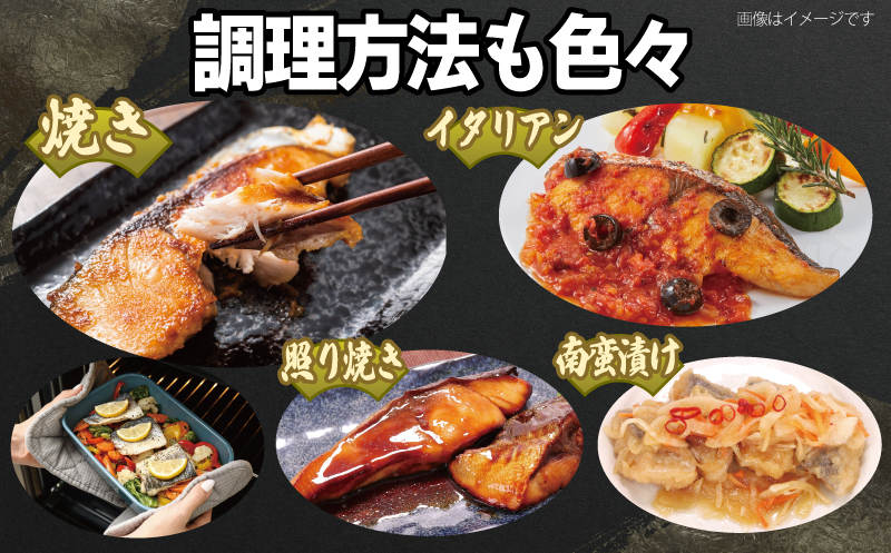 さごしフィレ 合計1kg以上 【小分け 切り身 海産 魚 お弁当 焼き魚 冷凍 惣菜 焼くだけ 訳あり サイズ不揃い】 099H3890_イメージ4