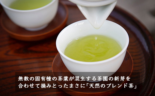  楠森堂 実生在来茶2種 (逸品煎茶80g)・(逸品ほうじ茶30g) セット