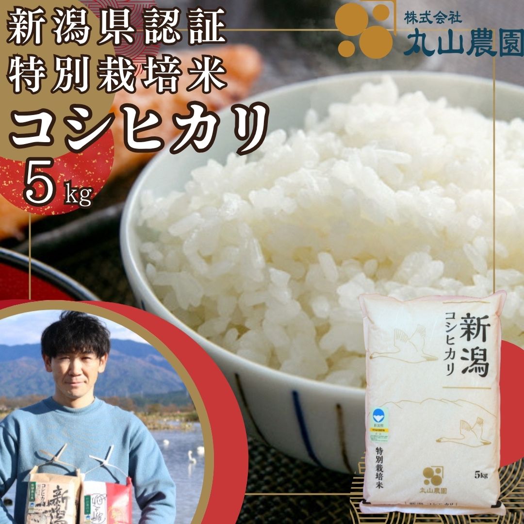 【ふるさと納税】【令和7年産】従来コシヒカリ 5kg 特別栽培米 新潟県認証米 阿賀野市産 丸山農園 米 こめ コメ 白米 精米