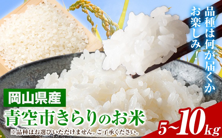 
                  令和7年産 青空市きらりの 選べる内容量 5kg 10kg 岡山県産 (品種はお選びいただけません) 青空市きらり《30日以内に発送予定(土日祝除く)》岡山県 矢掛町 白米 精米 米 コメ
                