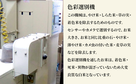 コシヒカリ 若葉の舞 白米 千葉県産 コシヒカリ【5kg】【定期便3回】