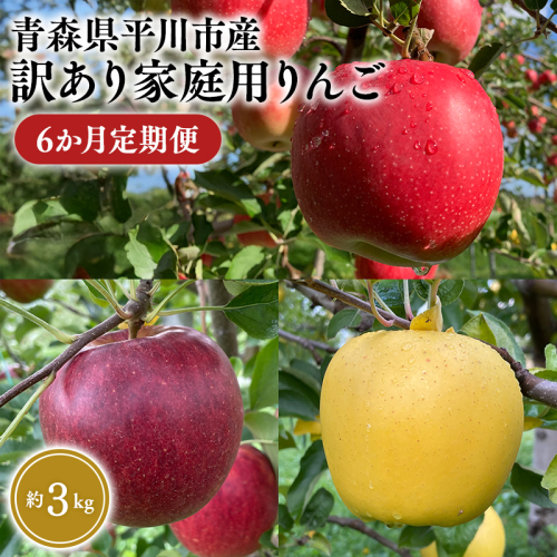8月下旬～発送　 訳あり家庭用りんご 6か月定期便約3kg【なるみ農園・青森りんご・平川市産・定期便・数量限定】