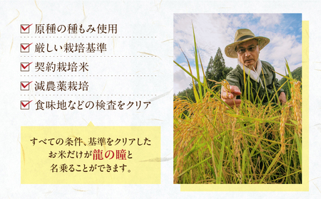 【2025年産米】（2026年7月発送）2kg×1 飛騨産・龍の瞳（いのちの壱）株式会社龍の瞳直送 米 令和7年産 精米【14-11【7】】りゅうのひとみ いのちのいち 下呂市 龍の瞳