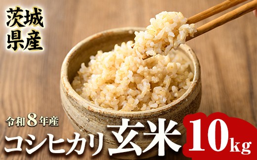 玄米 コシヒカリ 10kg 【有限会社桂農産】【ho1807】