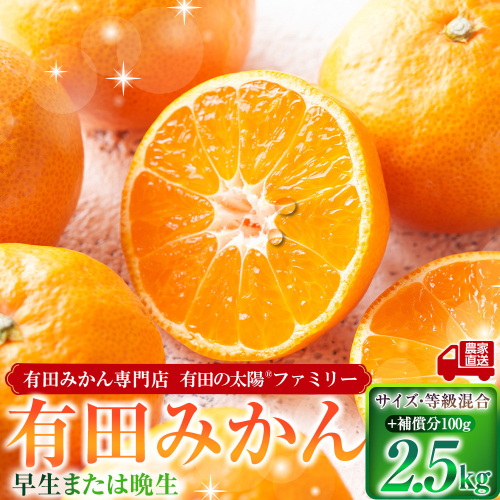 有田みかん専門店 有田の太陽(登録商標)ファミリー 早生または晩生 有田みかん 2.5kg＋補償分100g 山採れ・サイズ・等級 混合