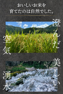 【定期便3回】福井県産 ハナエチゼン 精米  1kg ＜令和7年産 新米 数量限定 ＞【米 コメ お米 精米 白米 無洗米 玄米 ご飯 飯 華越前 ブランド米 国産】[095-t3-a010]