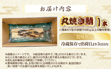 【福井県名物】丸焼き鯖 1本 職人の焼きで香ばしくジューシー【さば 焼き魚 焼き サバ 丸焼き 惣菜 半夏生 はんげしょう 酒の肴 郷土料理】 [e38-a004]