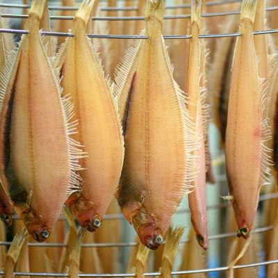 ふるさと納税 京丹後市 笹かれい一夜干し(ササカレイ、ヤナギムシカレイ)特大サイズ 5尾セット |  | 02