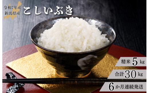 【6か月定期便】R7年産 新潟県産 こしいぶき 5kg （精米）
