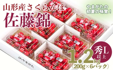 山形市産 さくらんぼ 佐藤錦 L以上 1.2kg(200g×6パック)バラ詰め 【令和7年産先行予約】FS24-619くだもの 果物 フルーツ 山形 山形県 山形市 2025年産