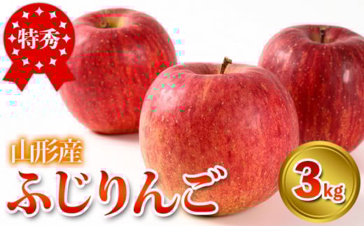 特秀品 山形県産 ふじりんご 3kg FY25-024