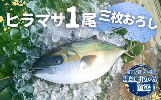 【ふるさと納税】No.2098-1 ふる里館 ヒラマサ1尾セット（三枚おろし）
