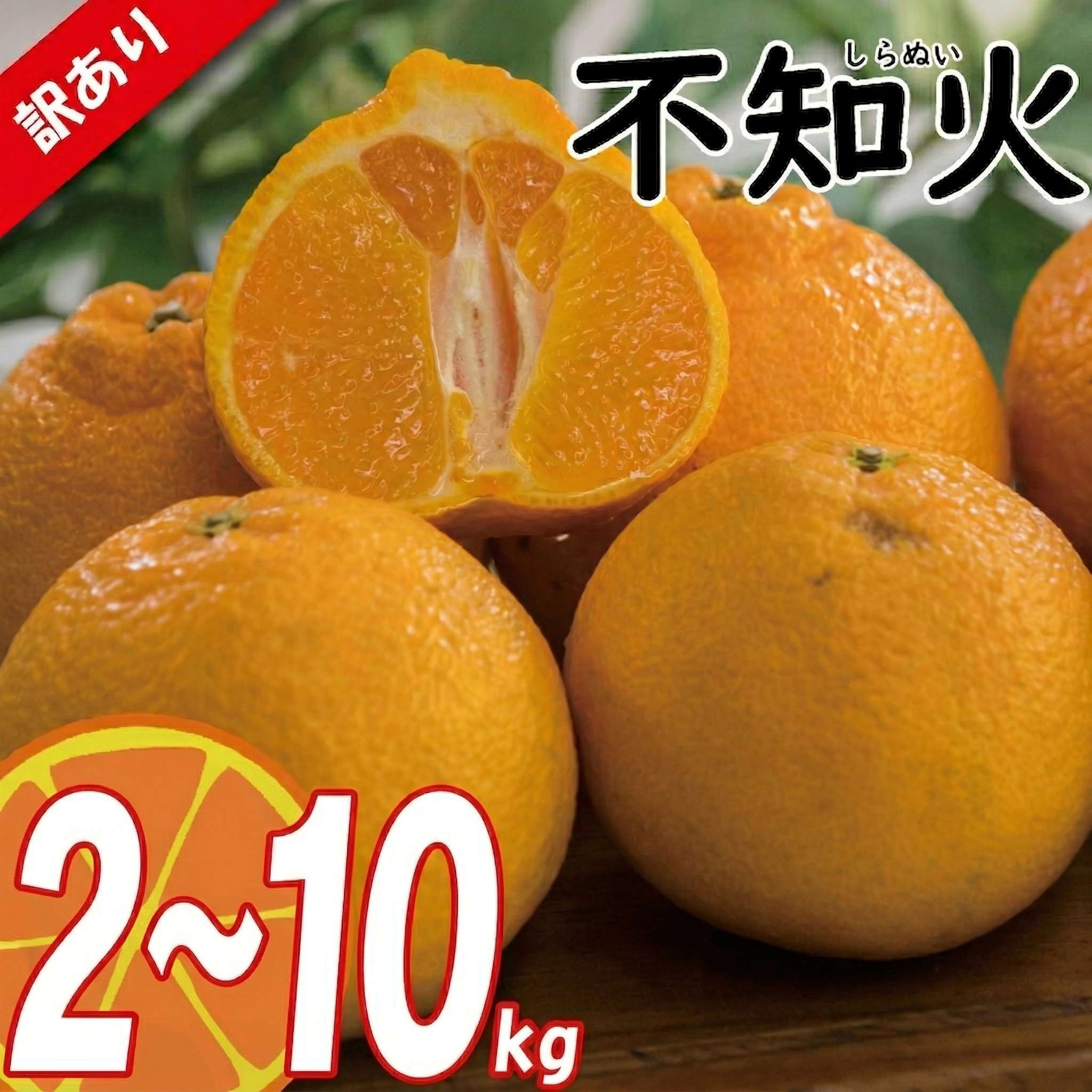 【ふるさと納税】 【2026年3月中旬頃から順次発送】 訳あり みかん 不知火 しらぬい 約2kg / 約5kg / 約10kg | デコポン でこぽん と同品種 みかん ミカン 蜜柑 愛媛みかん 愛媛ミカン 果物 くだもの フルーツ 家庭用 国産 産地直送 お取り寄せ 愛媛県産 愛媛県 松山市