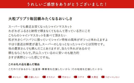 お客様からのうれしいメッセージをご紹介します。