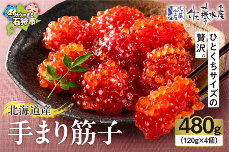 【佐藤水産】手まり筋子 480g (120g×4)  ｜すじこ 海鮮 北海道石狩市