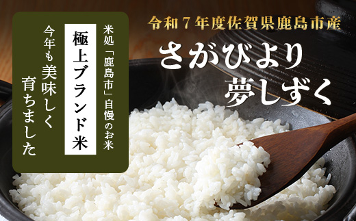 【定期便3回】令和7年産 鹿島市産 [さがびよりor夢しずく] 5kg 1袋 合計15kg 【品種指定不可】 玄米 精米 F-92