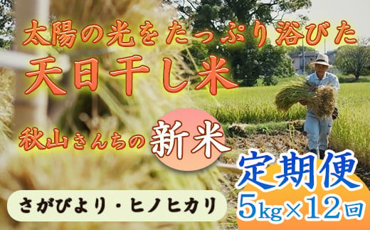 
定期便【2024年度】秋山さんの新米 さがびより/ヒノヒカリ5kg x12回
