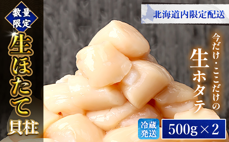 【北海道内限定配送！生ほたて】《期間限定》北海道雄武産 生玉ほたて1ｋｇ　500ｇ×2 塩水パック（冷蔵）【0713303】 500g×2